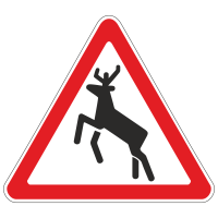 1.27 Дикие животные